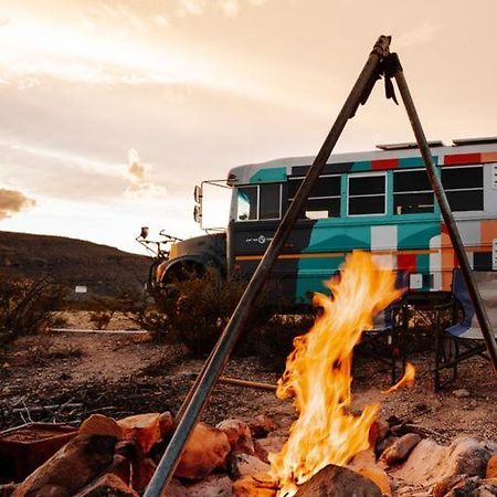 Camping At Desert Gardens Oasis In Lobo, Tx 范霍恩 外观 照片