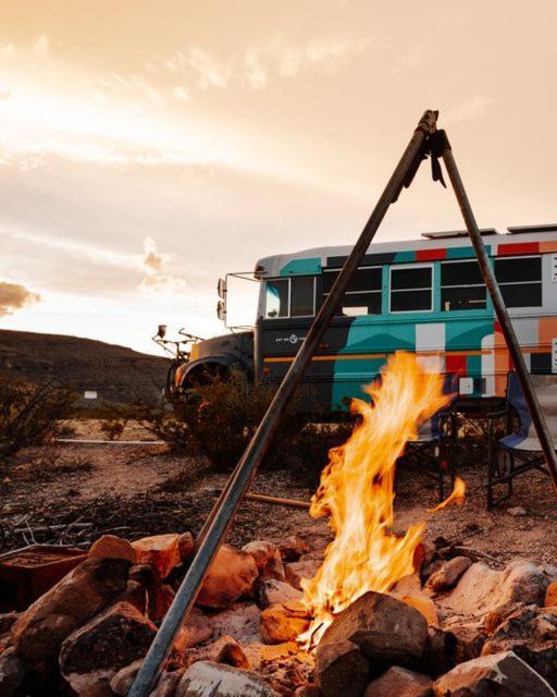 Camping At Desert Gardens Oasis In Lobo, Tx 范霍恩 外观 照片