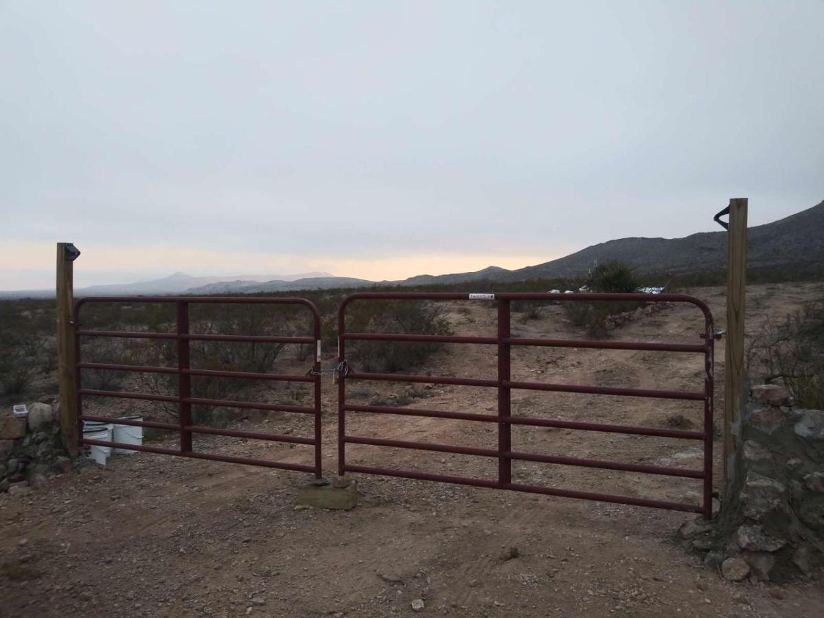 Camping At Desert Gardens Oasis In Lobo, Tx 范霍恩 外观 照片