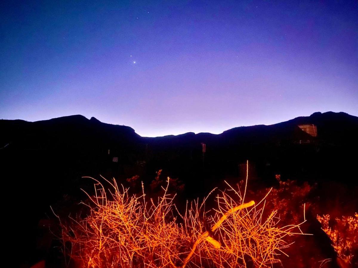 Camping At Desert Gardens Oasis In Lobo, Tx 范霍恩 外观 照片