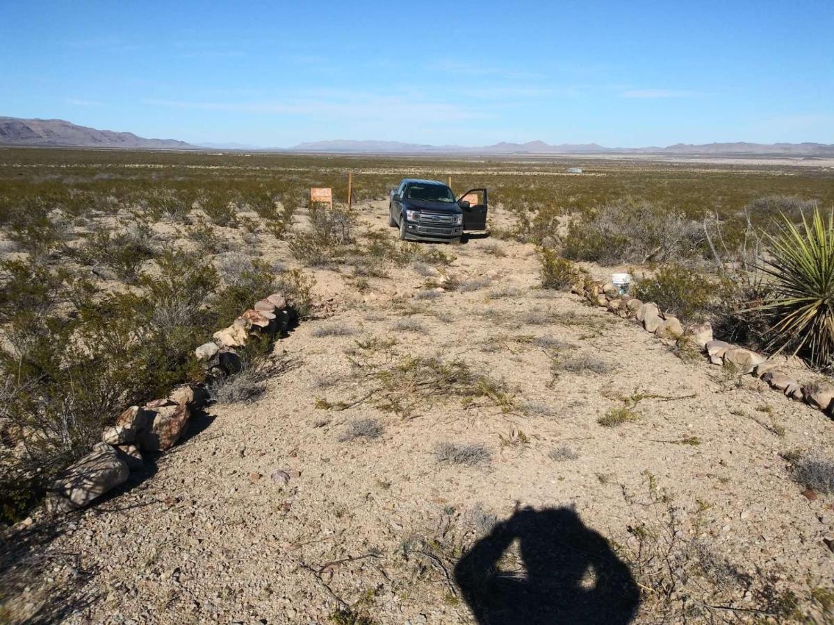 Camping At Desert Gardens Oasis In Lobo, Tx 范霍恩 外观 照片