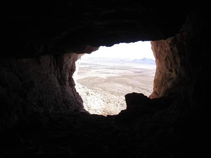 Camping At Desert Gardens Oasis In Lobo, Tx 范霍恩 外观 照片