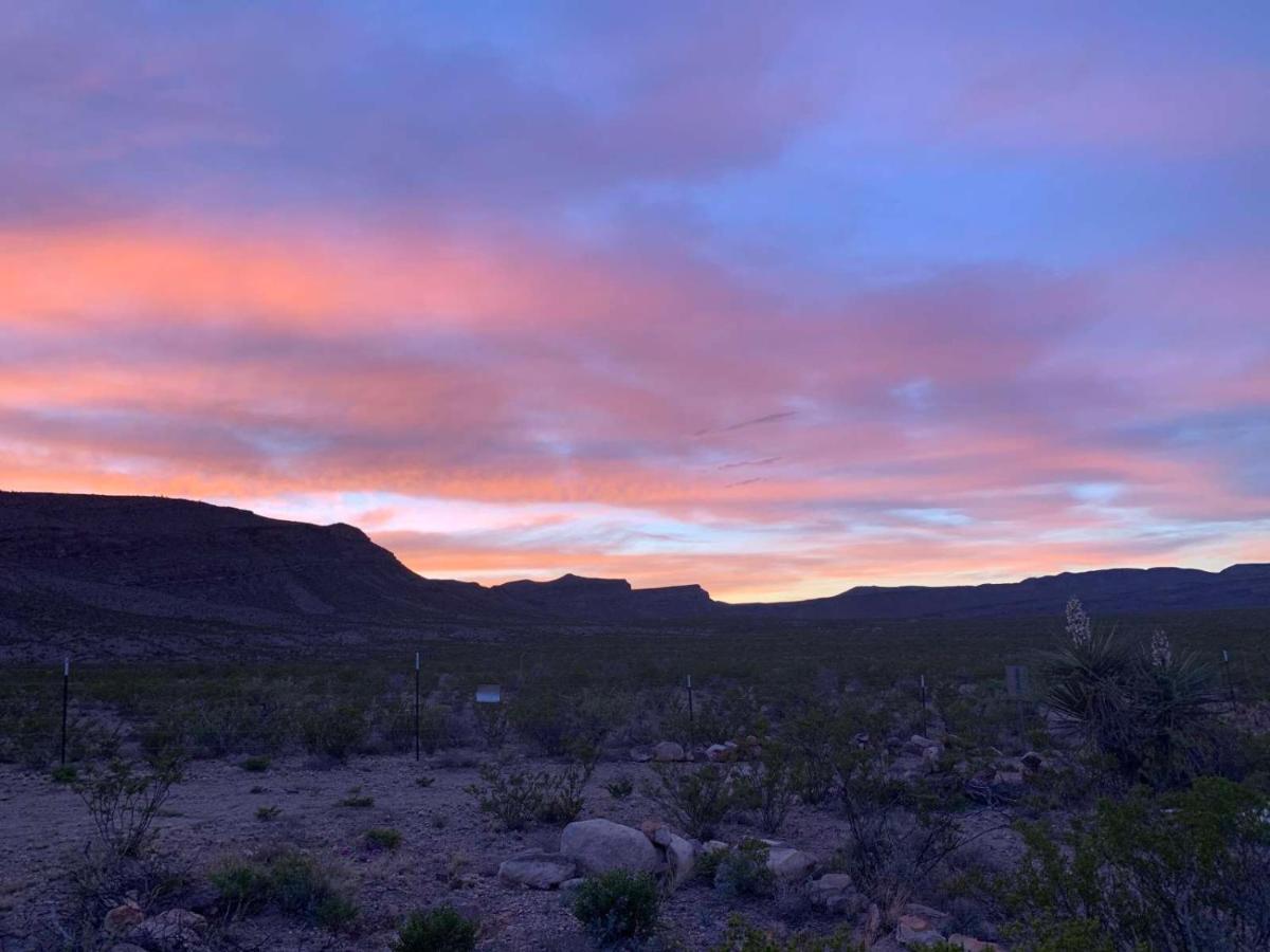 Camping At Desert Gardens Oasis In Lobo, Tx 范霍恩 外观 照片