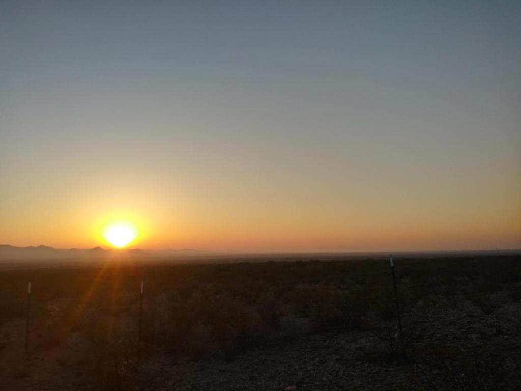 Camping At Desert Gardens Oasis In Lobo, Tx 范霍恩 外观 照片