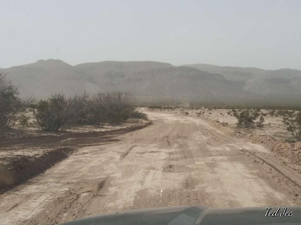 Camping At Desert Gardens Oasis In Lobo, Tx 范霍恩 外观 照片