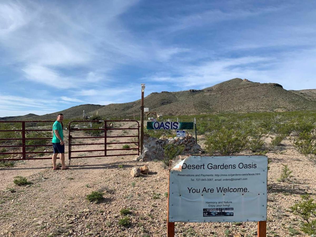 Camping At Desert Gardens Oasis In Lobo, Tx 范霍恩 外观 照片