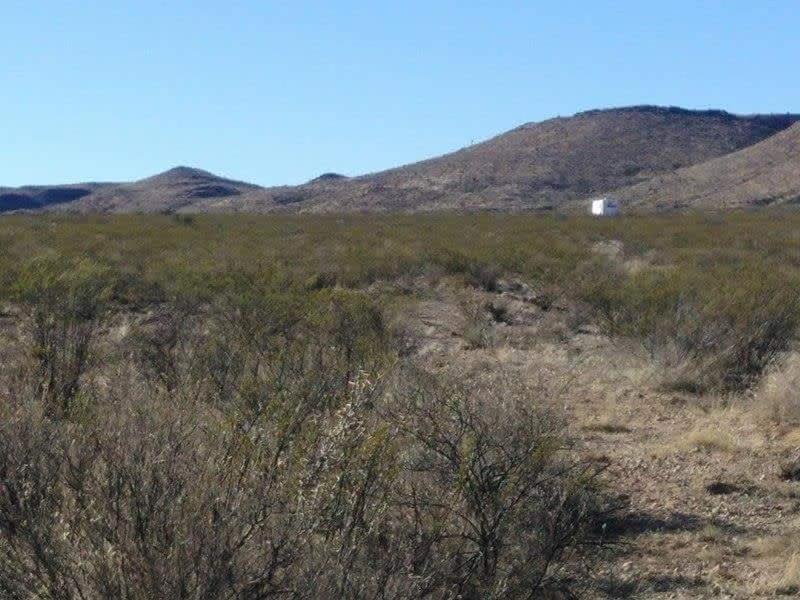 Camping At Desert Gardens Oasis In Lobo, Tx 范霍恩 外观 照片