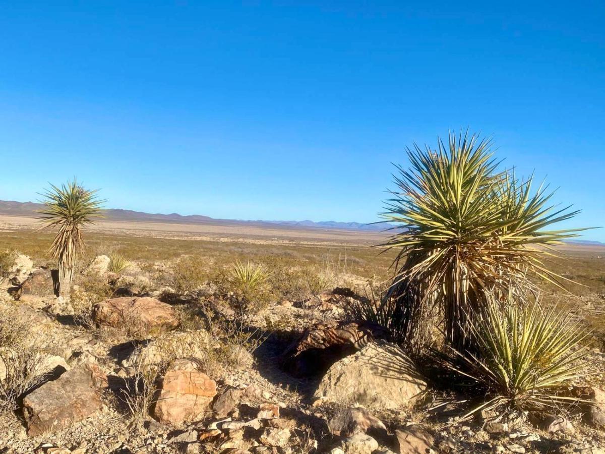 Camping At Desert Gardens Oasis In Lobo, Tx 范霍恩 外观 照片