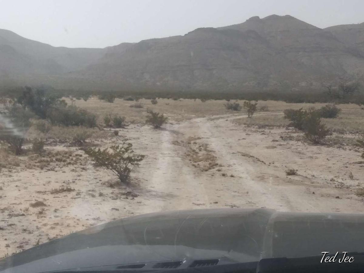 Camping At Desert Gardens Oasis In Lobo, Tx 范霍恩 外观 照片