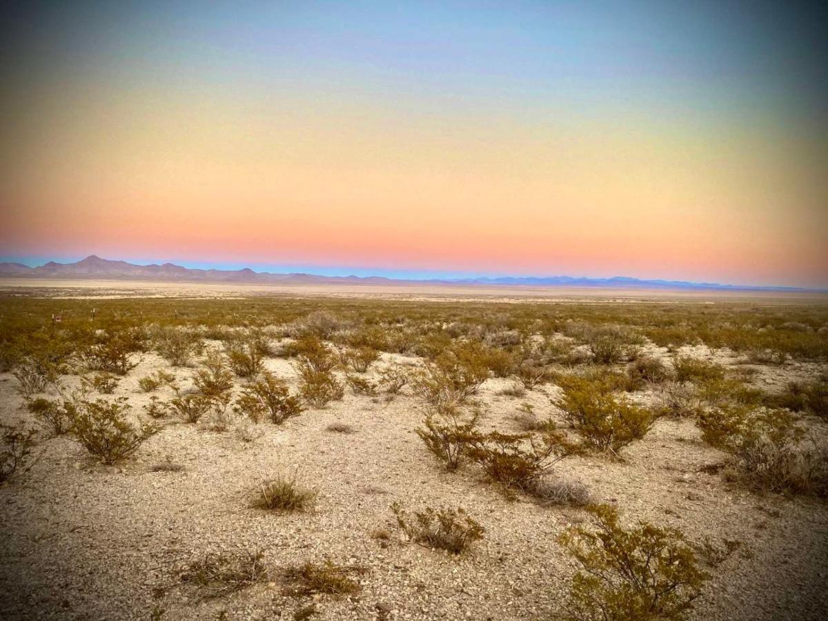 Camping At Desert Gardens Oasis In Lobo, Tx 范霍恩 外观 照片